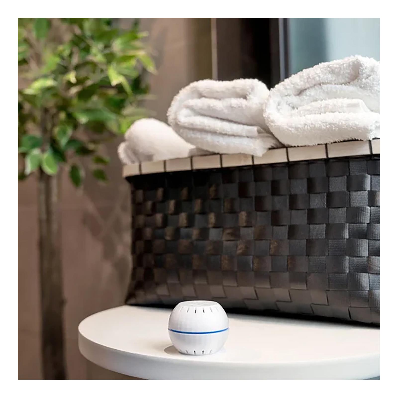 Shelly Wave H&T Sensor, Z-Wave 800 & Z-Wave LR