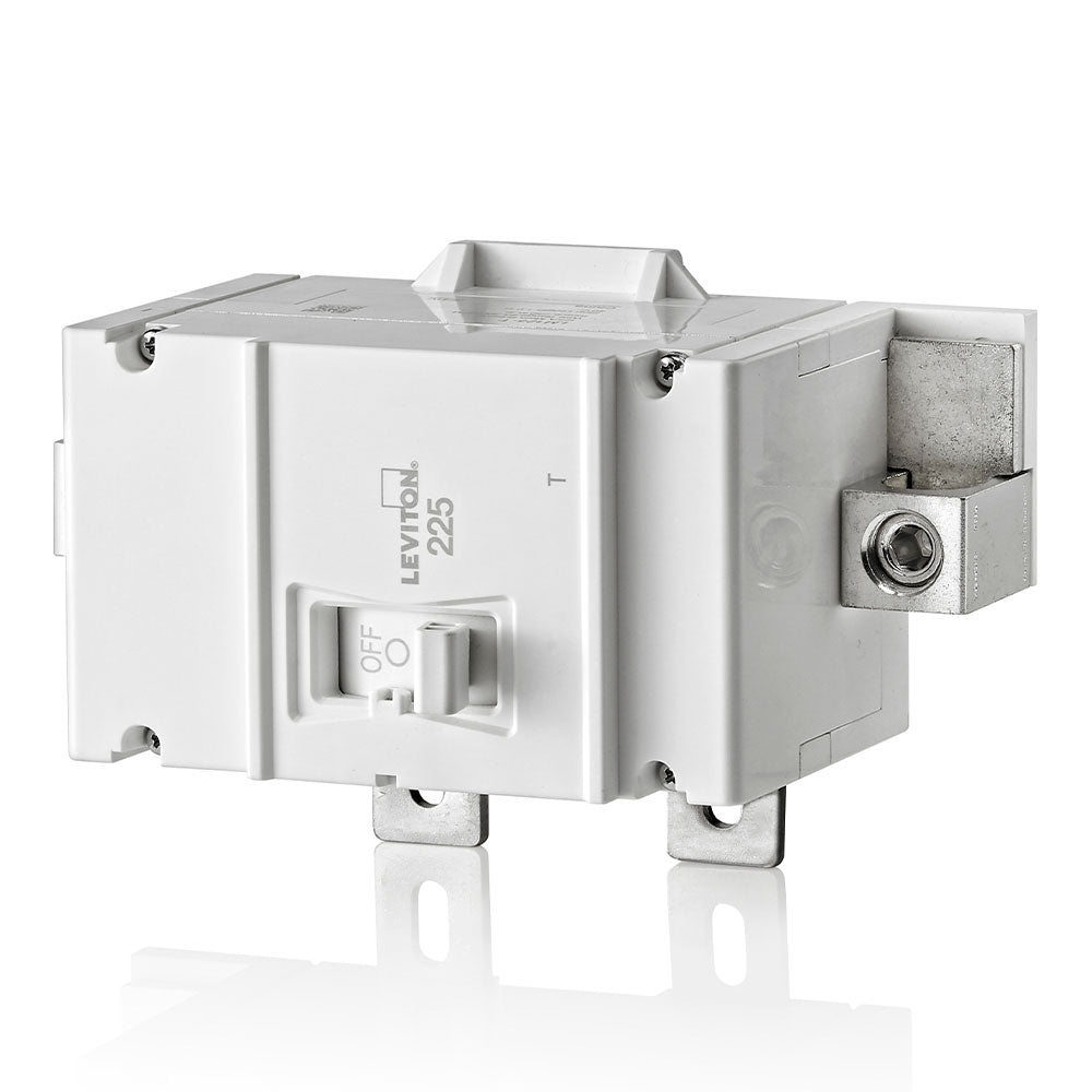 Leviton Thermal Magnetic Main Circuit Breaker, 2-Pole