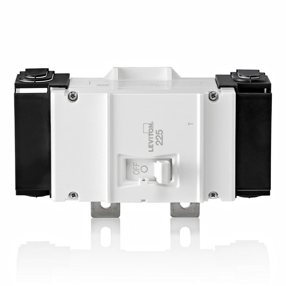Leviton Thermal Magnetic Main Circuit Breaker, 2-Pole