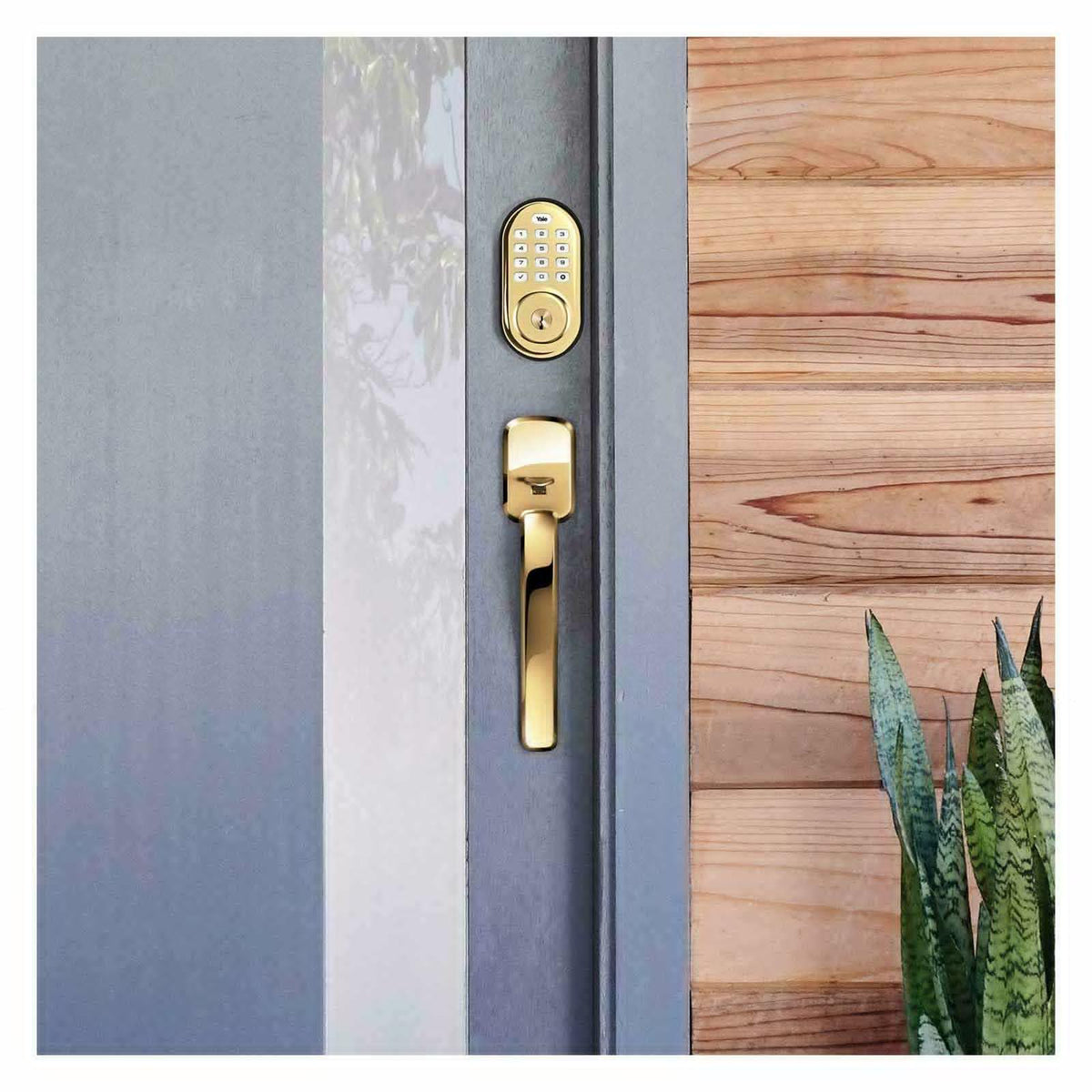 Yale Zigbee Push Button Deadbolt Assure Lock with Cox