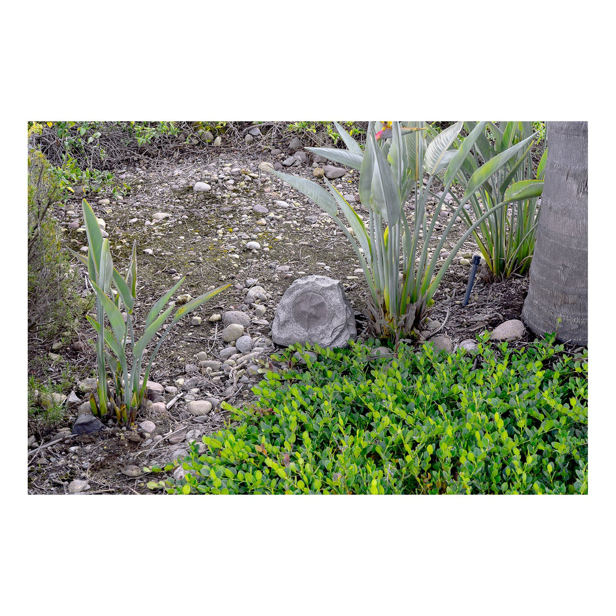 Lithe Audio Bluetooth & Passive Garden Rock Speakers