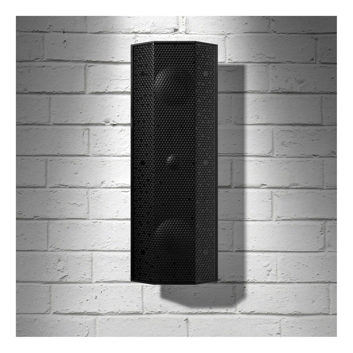Lithe Audio IO1 Passive Speaker (Single)