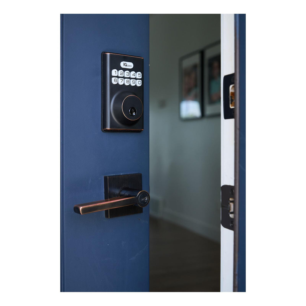 Qolsys IQ Lock-PG