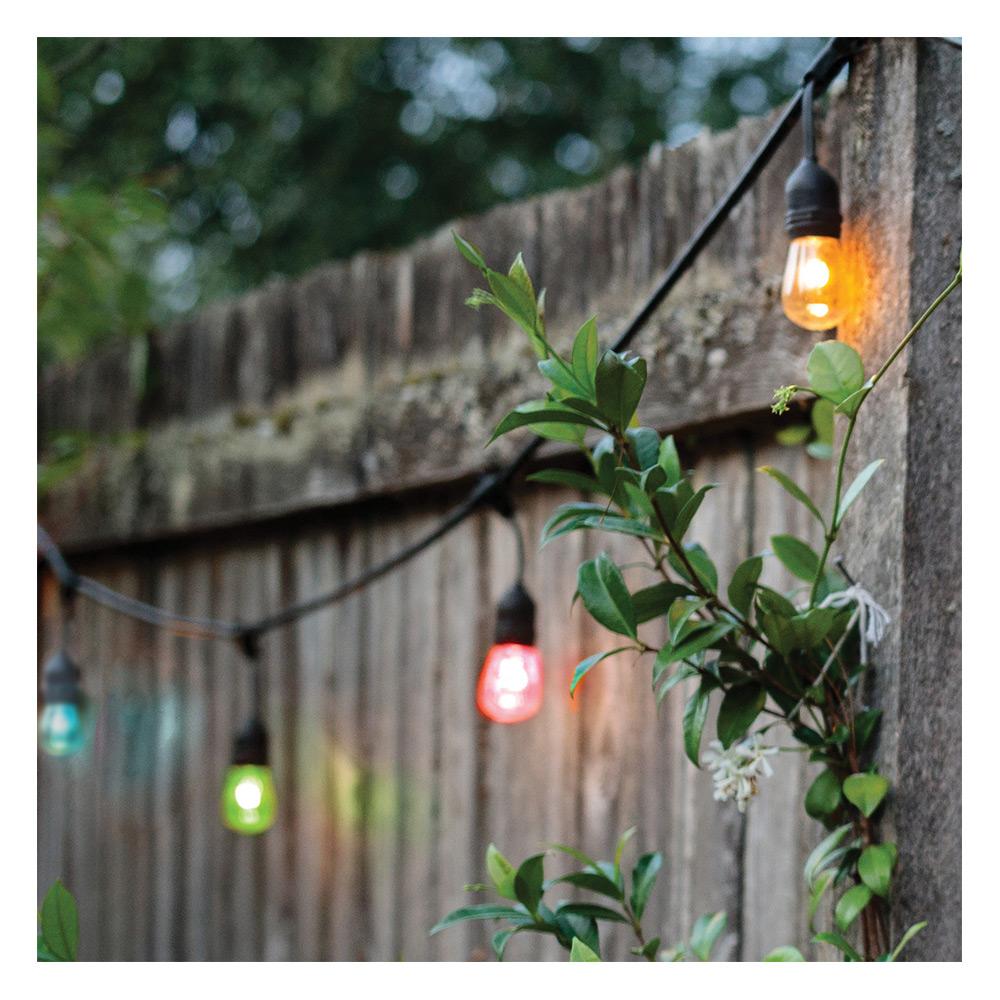 SATCO Starfish 4-Pin S14 LED RGBW White String Light Bulb