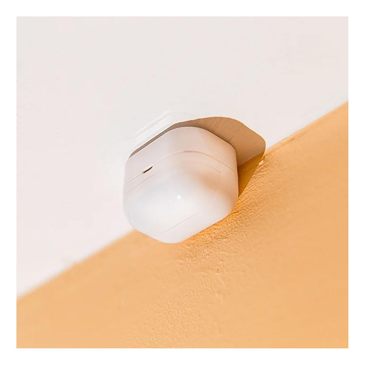 Shelly Wave Motion, Z-Wave 800 & Z-Wave LR