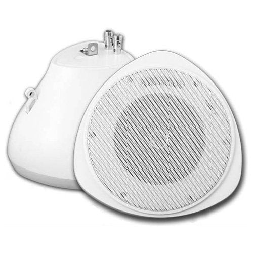 Speco Hanging Pendant Speaker, 8 Ohm