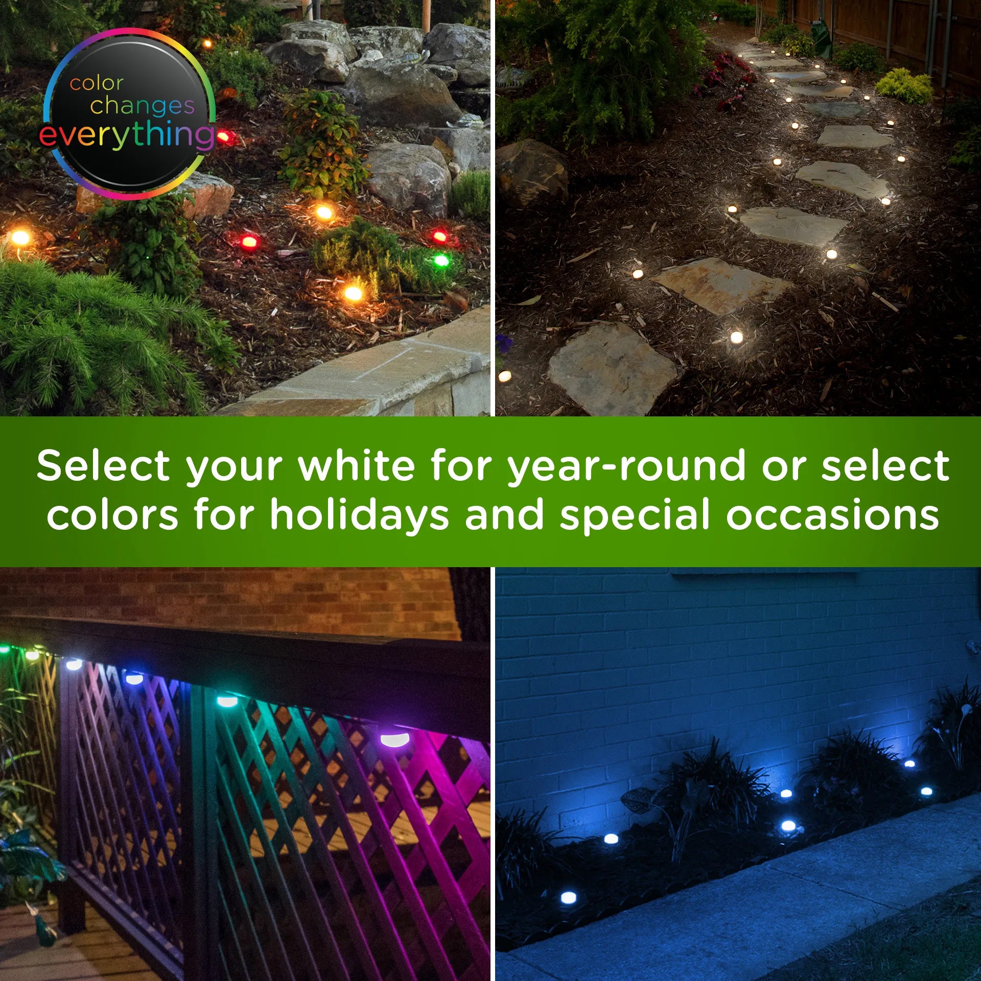 Enbrighten Landscape Colorful Lights at Night