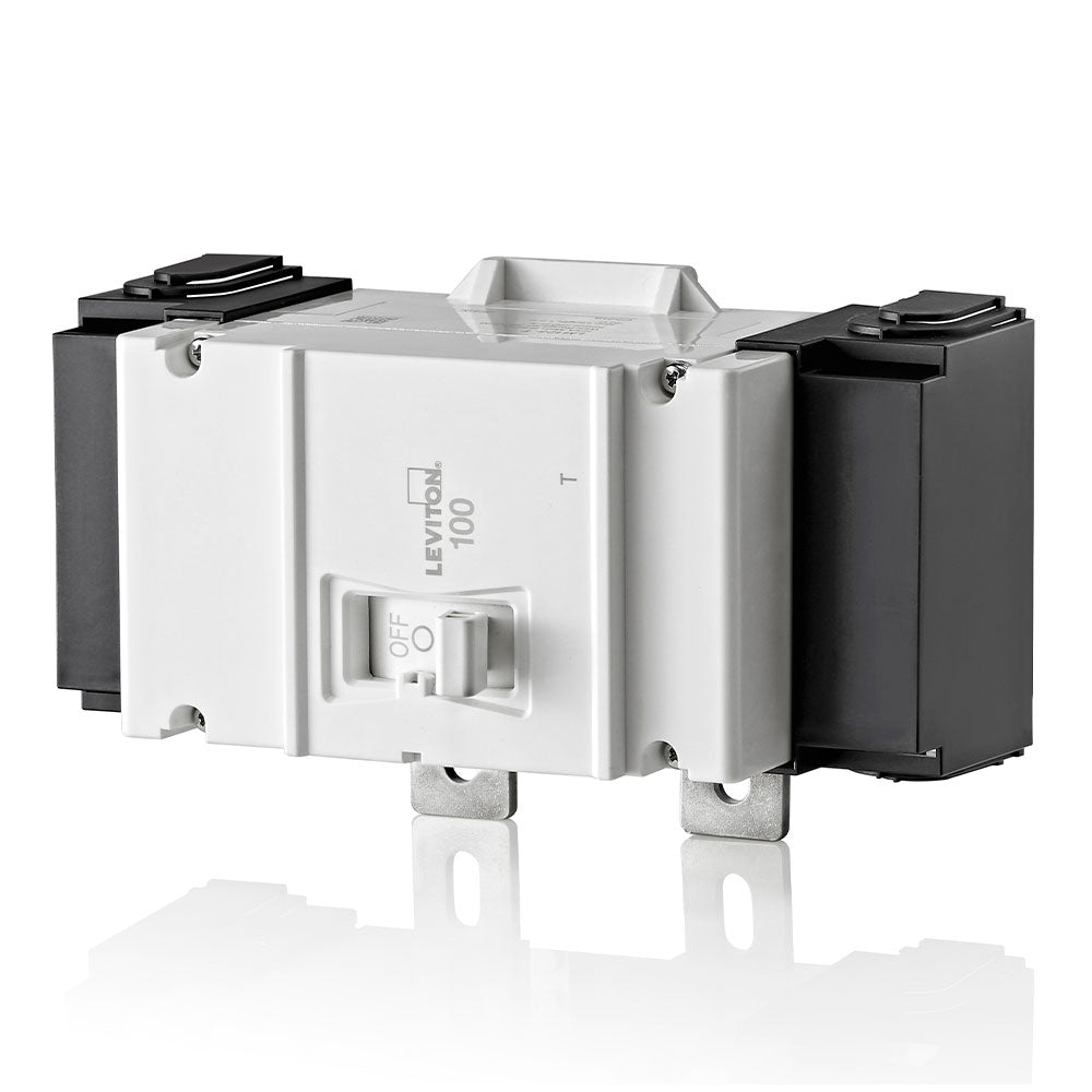 Leviton Thermal Magnetic Main Circuit Breaker, 2-Pole