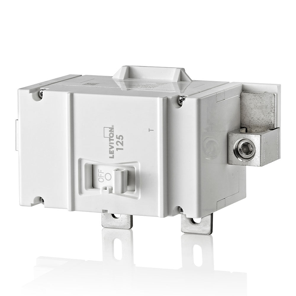 Leviton Thermal Magnetic Main Circuit Breaker, 2-Pole