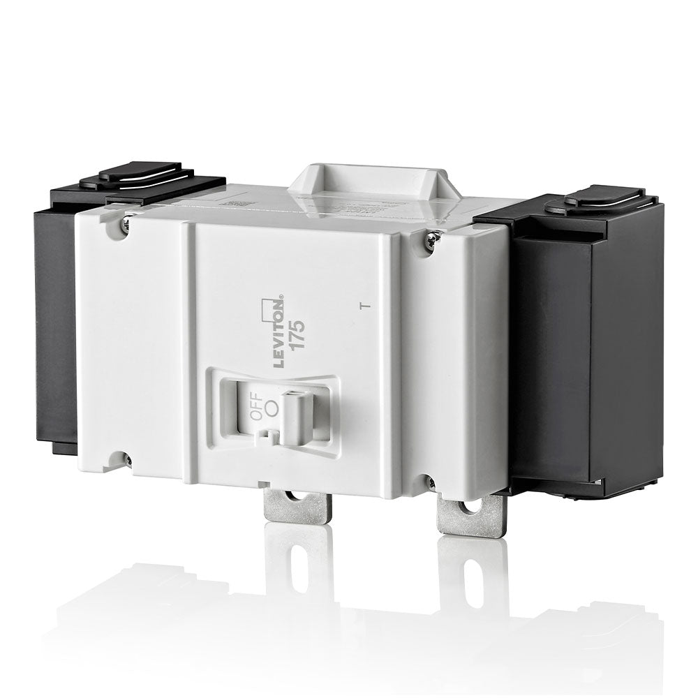 Leviton Thermal Magnetic Main Circuit Breaker, 2-Pole