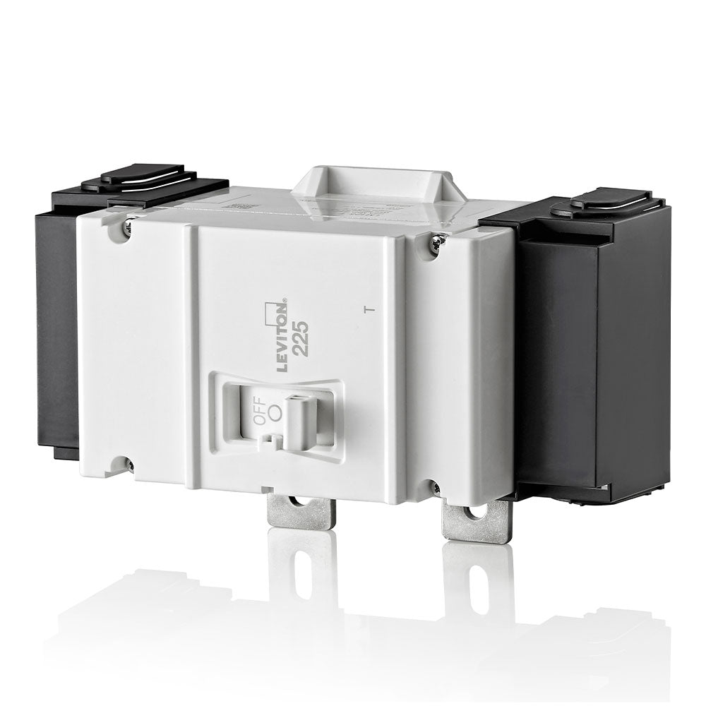 Leviton Thermal Magnetic Main Circuit Breaker, 2-Pole