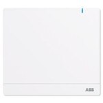 ABB-free@home System Access Point 2.0