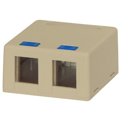 DataComm Keystone Surface-Mount Box, 2-Port, Ivory