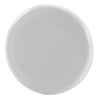 Ecolink Wireless Flood/Freeze Sensor, 345 MHz