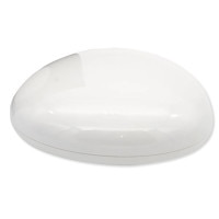 HomeSeer LS100 G8 Z-Wave Plus Long Range Water Leak Sensor