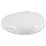 HomeSeer Z-Wave Plus Leak Sensor