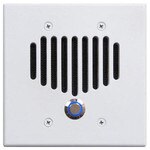 IST I2000 Intercom Door Station, Antique Gold