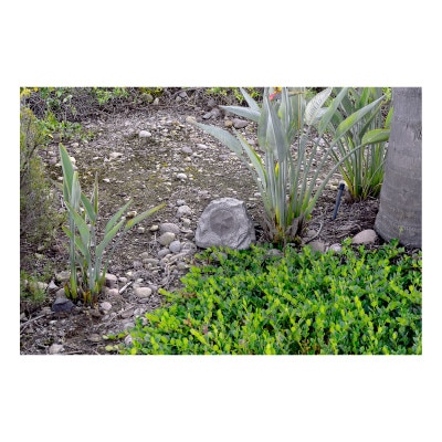 Lithe Audio Bluetooth & Passive Garden Rock Speakers