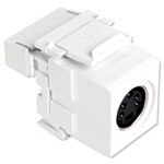 Leviton QuickPort S-Video to 110 Snap-In Connector, Gray