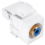 Leviton QuickPort RCA to 110 Snap-In Connector, Blue Insert, White