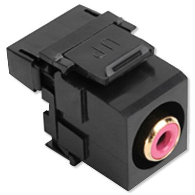 Leviton QuickPort RCA to 110 Snap-In Connector, Red Insert, Black