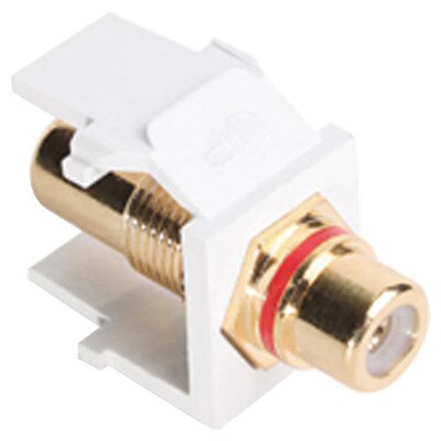 Leviton QuickPort RCA Snap-In Connector (Gold-Plated), Red Stripe, White