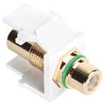 Leviton QuickPort RCA Snap-In Connector (Gold-Plated), Green Stripe, White
