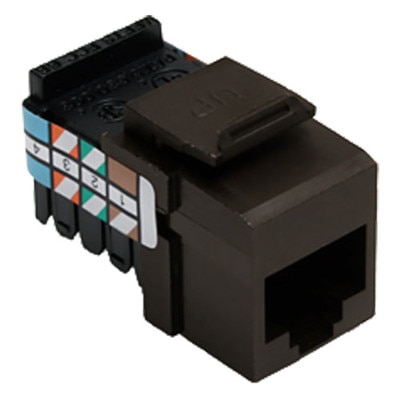 Leviton QuickPort Voice-Grade RJ45 Snap-In Connector, Brown