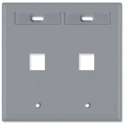 Leviton QuickPort Wallplate, 2-Gang, 2-Port (with ID Window), Gray