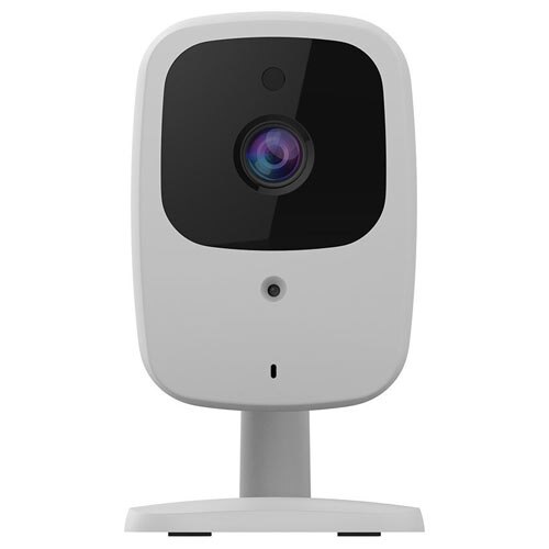 Nexia and hot sale google home