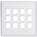 On-Q/Legrand Keystone Wallplate, 2-Gang, 12-Port