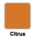 Image of Citrus Swatch